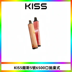 KIS5鎧斯5號一次性6500口磁吸式拋棄式電子煙#自由混搭#